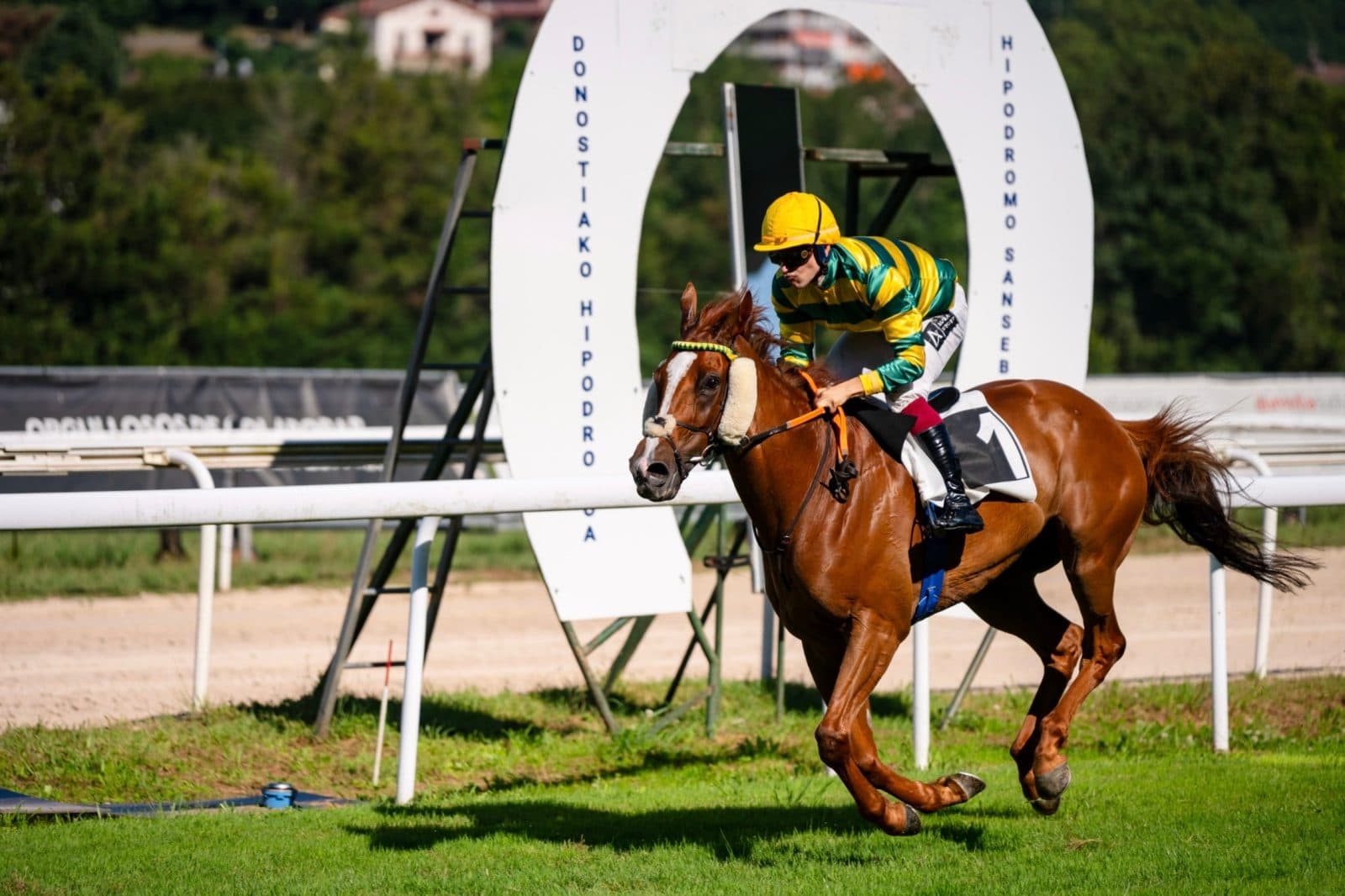 Fegentri World Championships