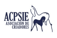 Criadores PSI