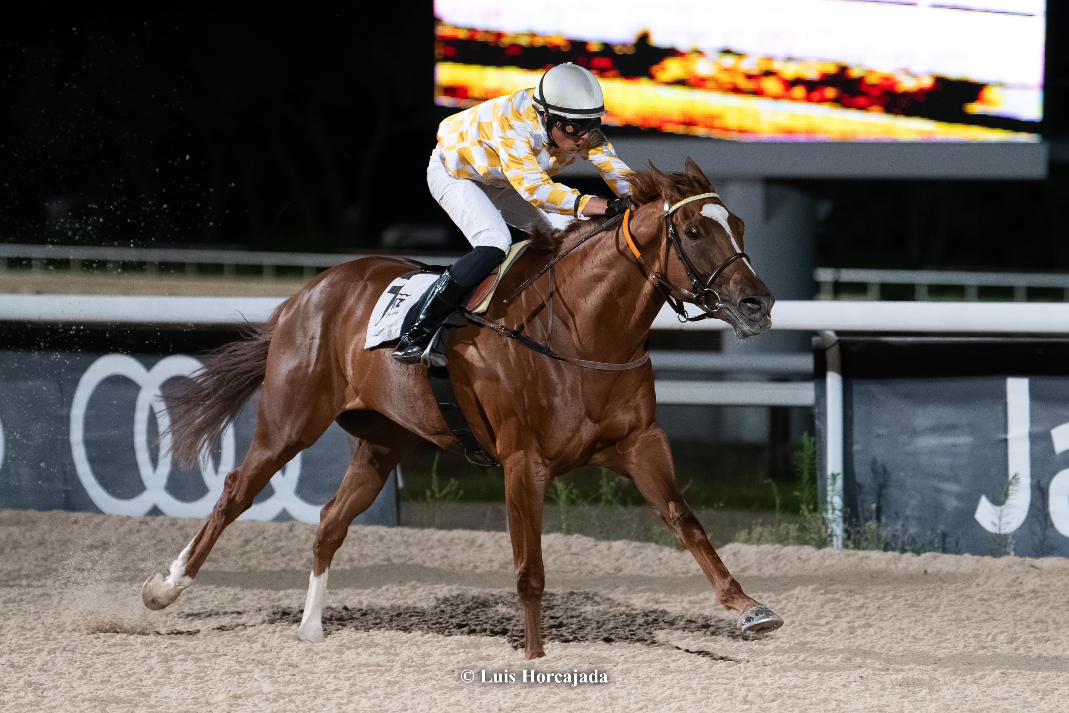 Premio Inge Drews · 1ª etapa Copa Promesas